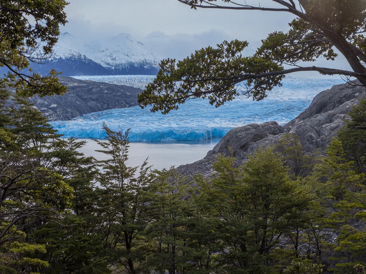 The W Trek Torres del Paine Glacier Grey
